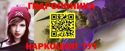 гашик Усть-Илимск