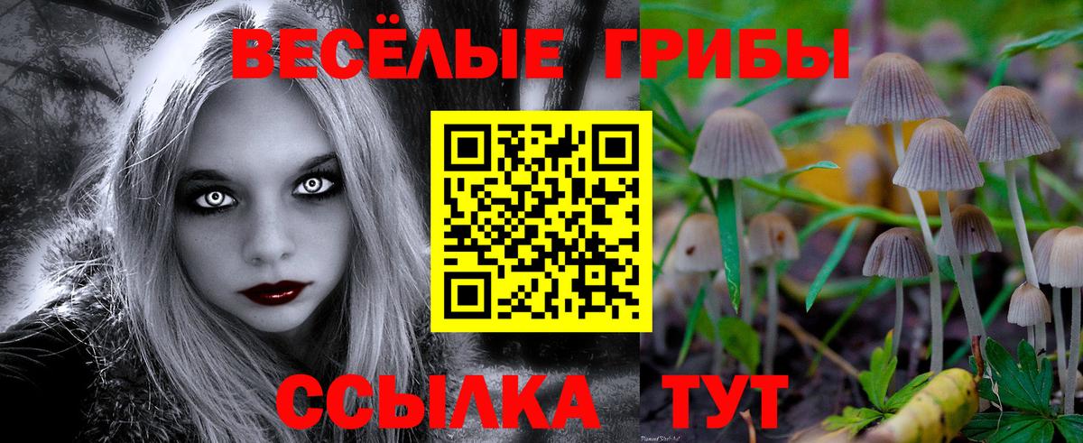 Псилоцибиновые грибы Psilocybine cubensis Белогорск