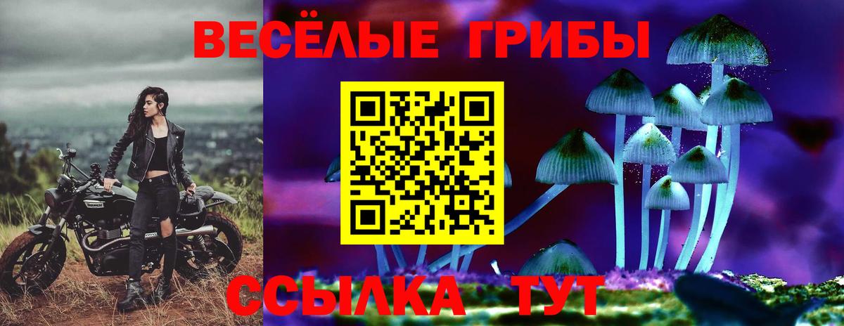 Белогорск  Галлюциногенные грибы Psilocybe  Вход с VPN 